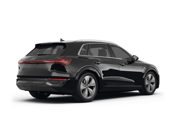 Audi Q8 e-tron  - Back view