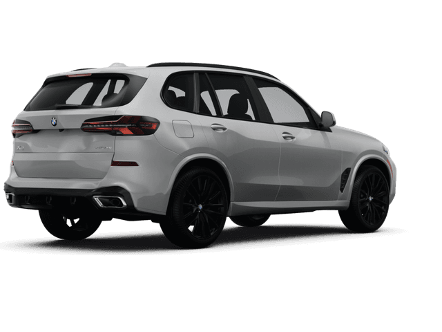 BMW X5  - Back view