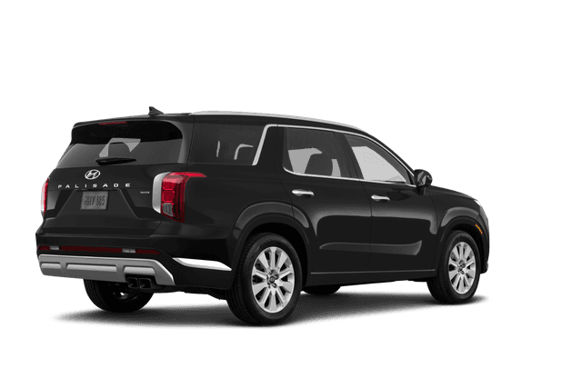 Hyundai Palisade  - Back view