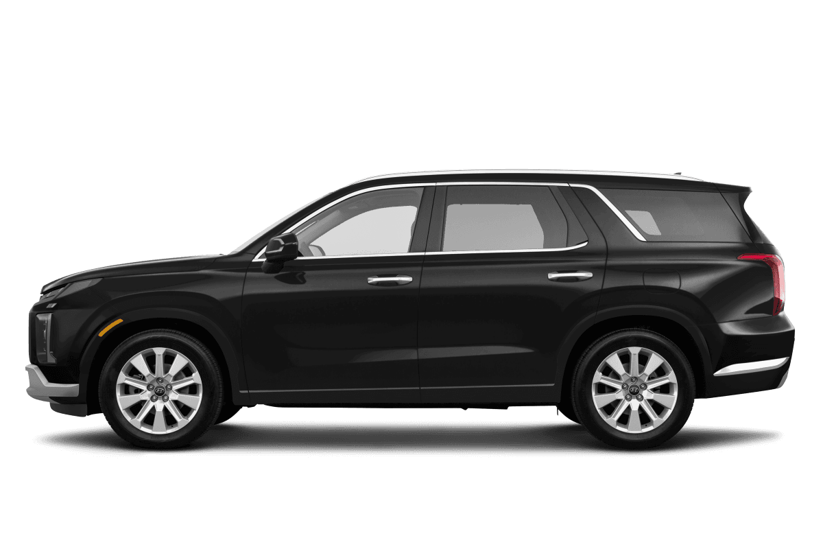 Hyundai Palisade  - Side view