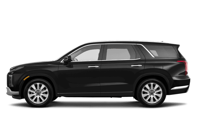 Hyundai Palisade  - Side view