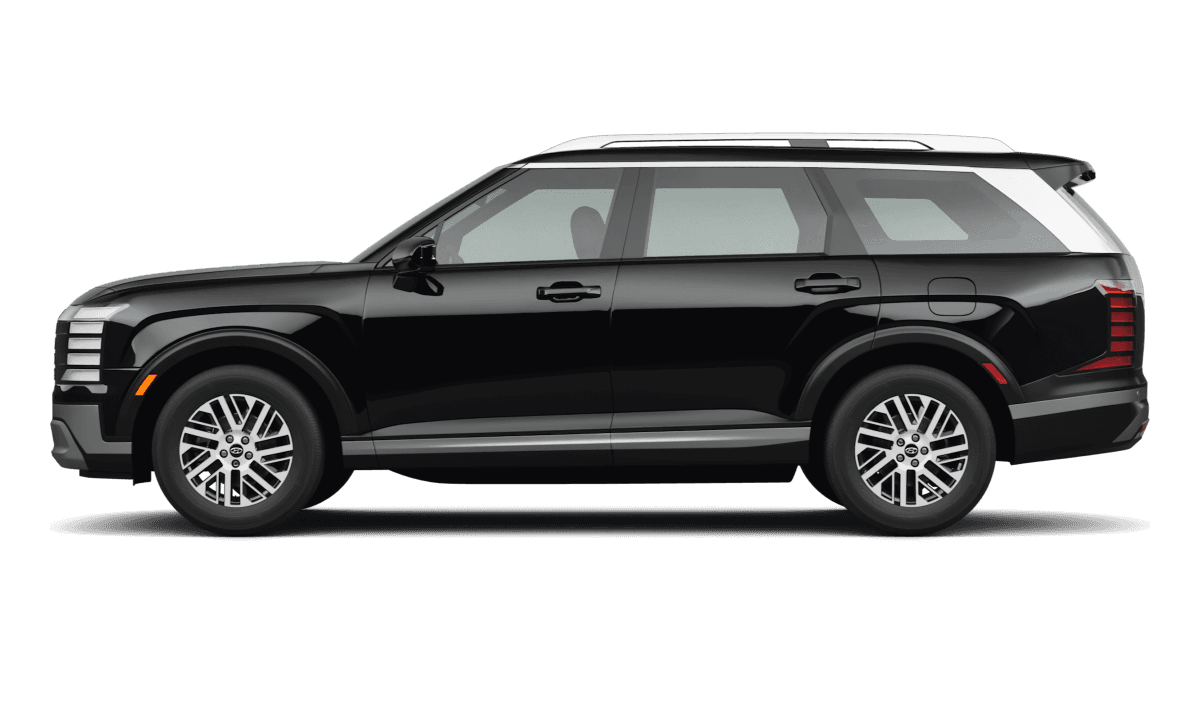 Hyundai Palisade  - Side view