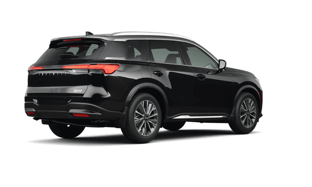 Infiniti QX60  - Back view