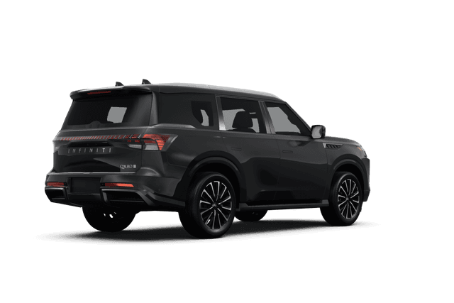 Infiniti QX80  - Back view