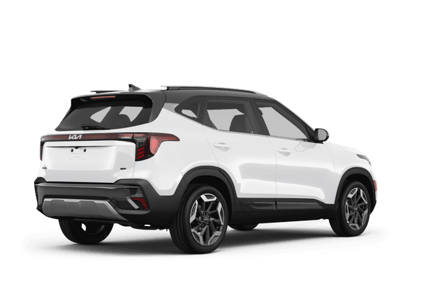 Kia Seltos  - Back view