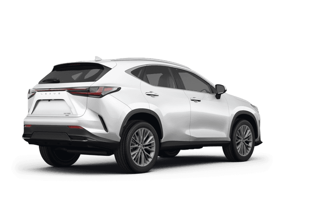 Lexus NX 250  - Back view