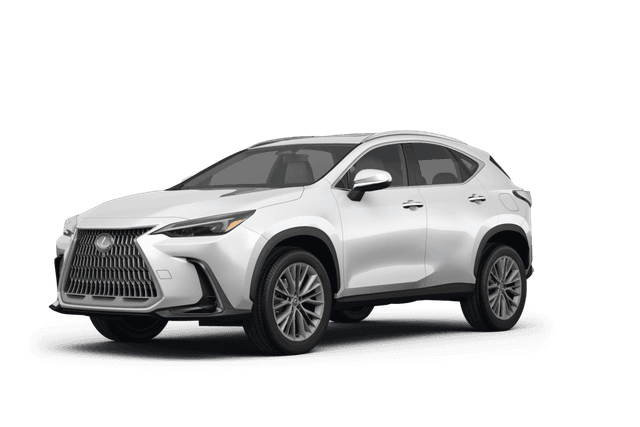 Lexus NX 250  - Front view