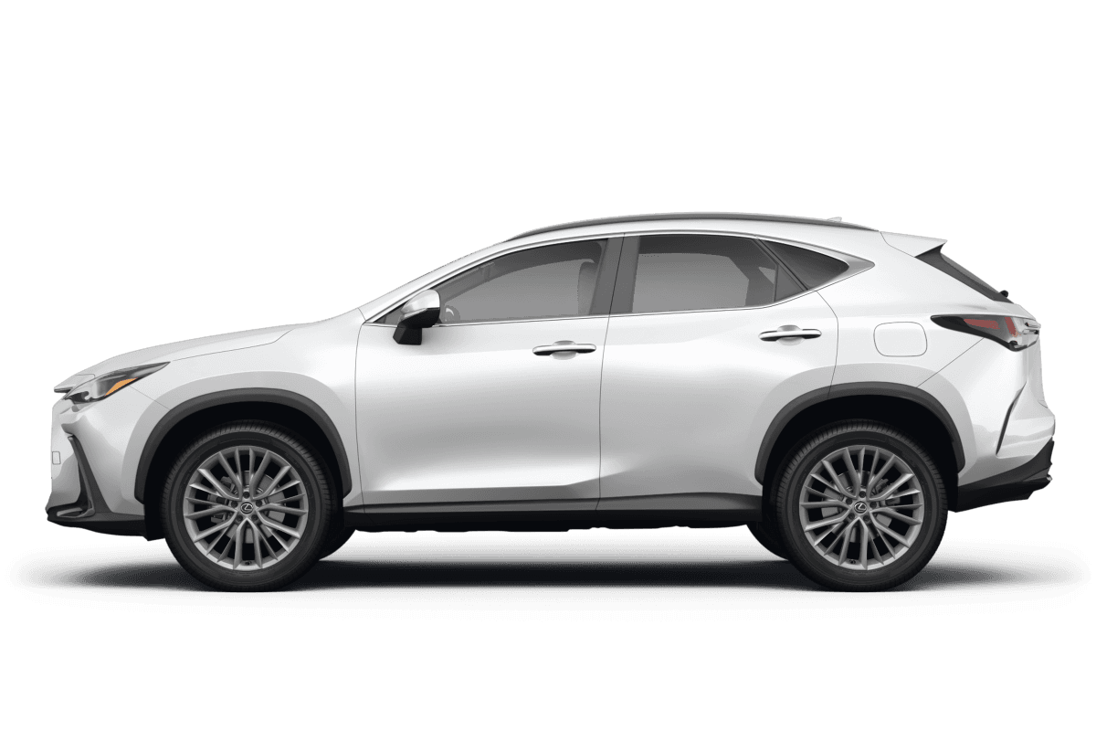 Lexus NX 250  - Side view