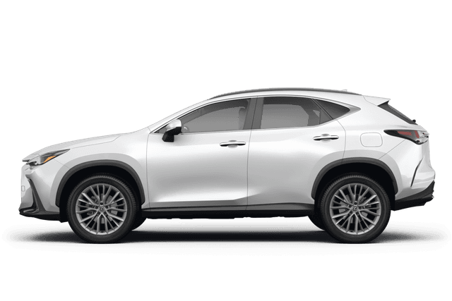 Lexus NX 250  - Side view