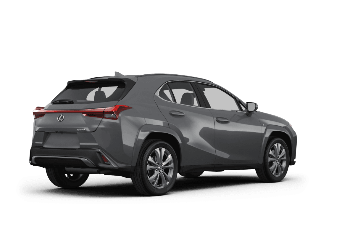 Lexus UX 300h  - Back view