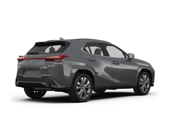 Lexus UX 300h  - Back view
