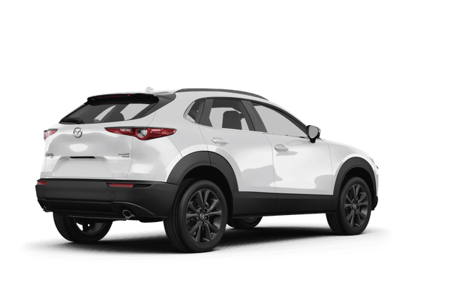 Mazda CX-30  - Back view
