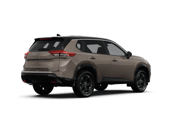 Nissan Rogue  - Back view