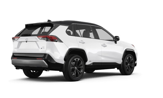 Toyota RAV4 Hybrid  - Back view